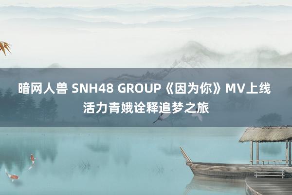 暗网人兽 SNH48 GROUP《因为你》MV上线 活力青娥诠释追梦之旅