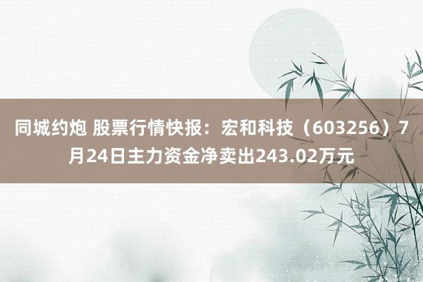 同城约炮 股票行情快报：宏和科技（603256）7月24日主力资金净卖出243.02万元