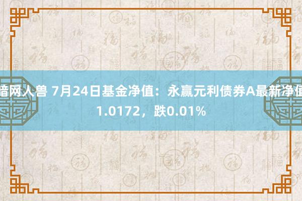 暗网人兽 7月24日基金净值：永赢元利债券A最新净值1.0172，跌0.01%