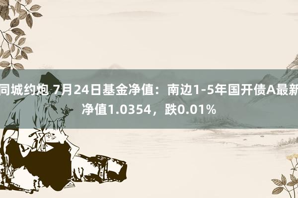 同城约炮 7月24日基金净值：南边1-5年国开债A最新净值1.0354，跌0.01%