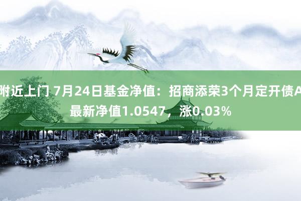 附近上门 7月24日基金净值：招商添荣3个月定开债A最新净值1.0547，涨0.03%