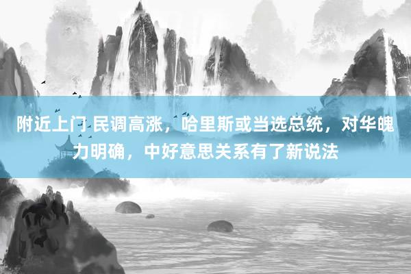 附近上门 民调高涨，哈里斯或当选总统，对华魄力明确，中好意思关系有了新说法