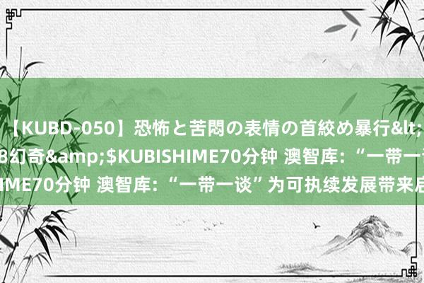 【KUBD-050】恐怖と苦悶の表情の首絞め暴行</a>2013-03-18幻奇&$KUBISHIME70分钟 澳智库: “一带一谈”为可执续发展带来启示