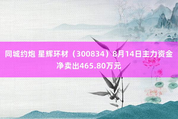 同城约炮 星辉环材（300834）8月14日主力资金净卖出465.80万元