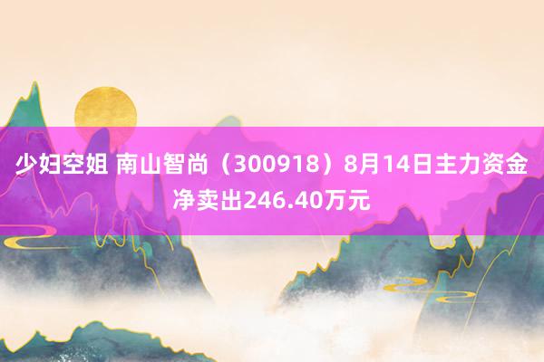 少妇空姐 南山智尚（300918）8月14日主力资金净卖出246.40万元