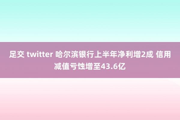 足交 twitter 哈尔滨银行上半年净利增2成 信用减值亏蚀增至43.6亿