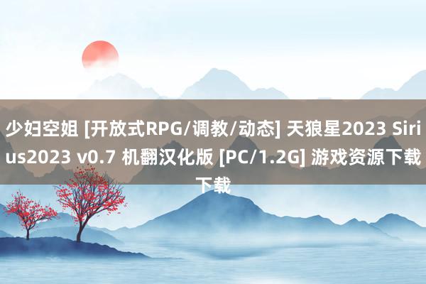 少妇空姐 [开放式RPG/调教/动态] 天狼星2023 Sirius2023 v0.7 机翻汉化版 [PC/1.2G] 游戏资源下载